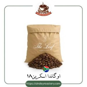 اوگاندا اسکرین ۱۸