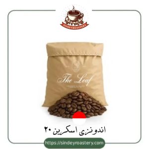 اندونزی اسکرین۲۰