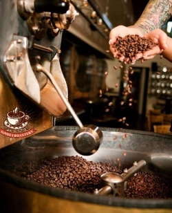 فرآیند رست کردن قهوه