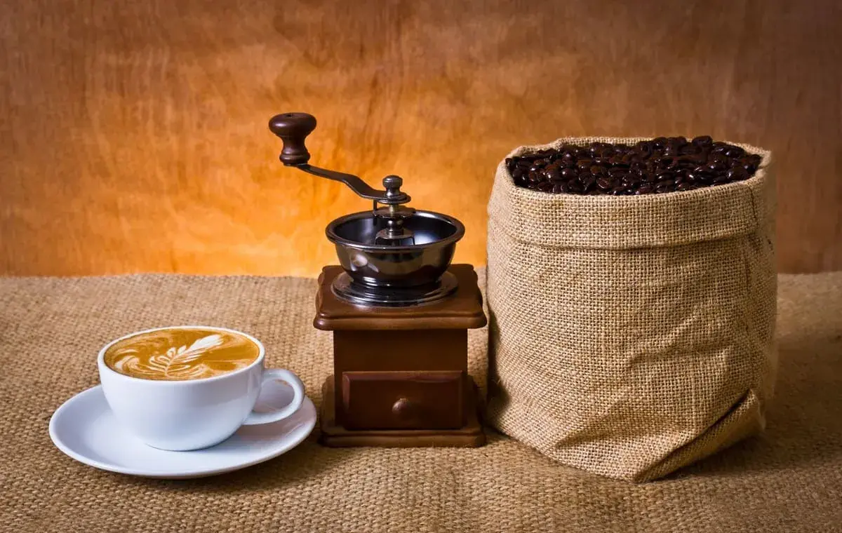 arabica-and-robusta-1